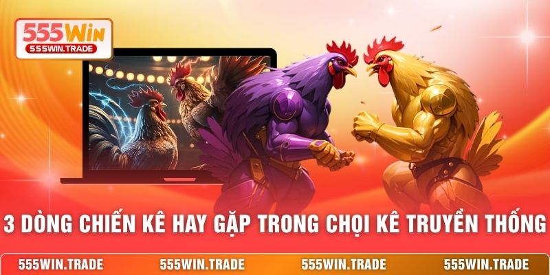 Đá Gà Truyền Thống 555WIN - Nét Văn Hóa Gây Mê Giới Sư Kê