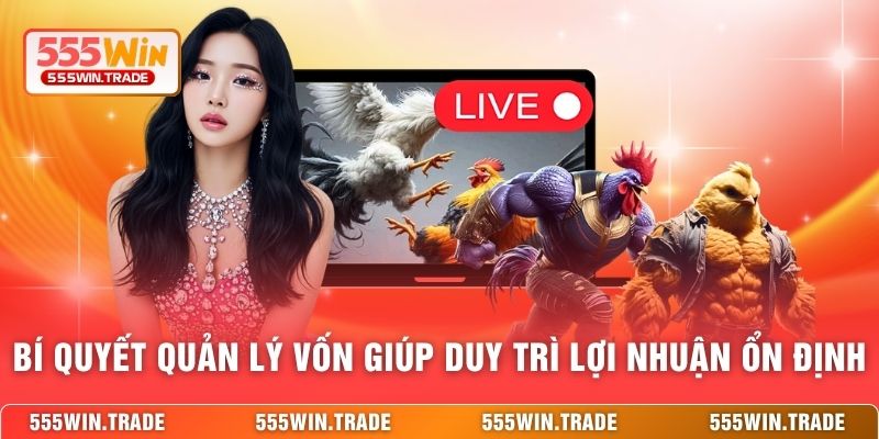Đá Gà 555WIN - Trường Kê Quốc Tế Với Kèo Cược Cực Cháy