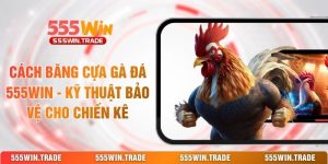 555win Mybalkan - Nhà Cái 555win.Com Uy Tín #1 Châu Á 2026