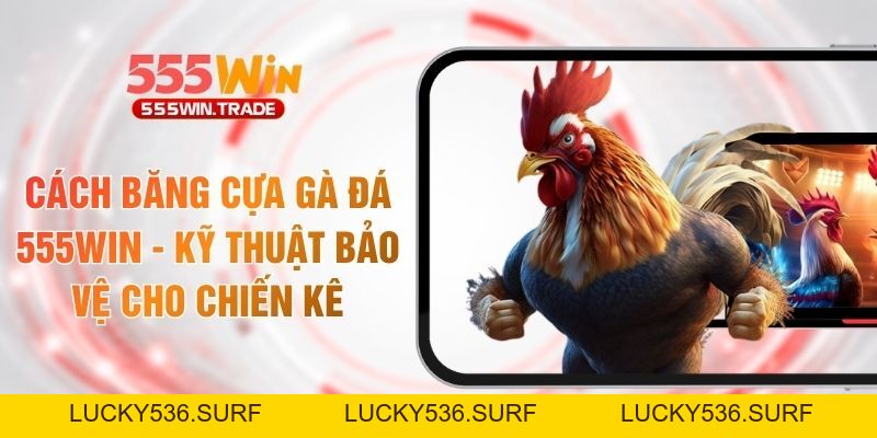 Đá Gà 555WIN - Trường Kê Quốc Tế Với Kèo Cược Cực Cháy