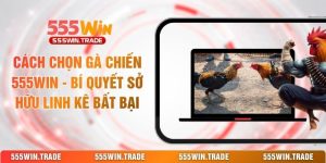 555win Mybalkan - Nhà Cái 555win.Com Uy Tín #1 Châu Á 2026