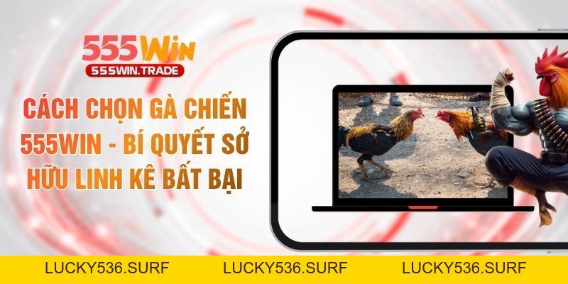 Đá Gà 555WIN - Trường Kê Quốc Tế Với Kèo Cược Cực Cháy