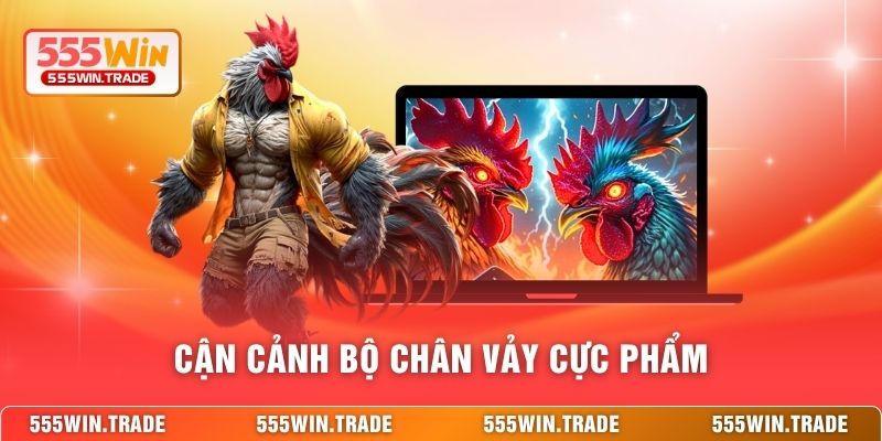 Cách Chọn Gà Chiến 555WIN - Bí Quyết Sở Hữu Linh Kê Bất Bại