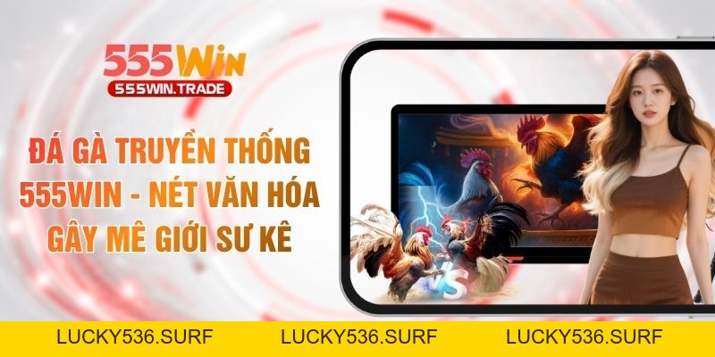 Đá Gà 555WIN - Trường Kê Quốc Tế Với Kèo Cược Cực Cháy