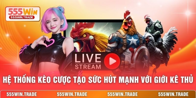 Đá Gà 555WIN - Trường Kê Quốc Tế Với Kèo Cược Cực Cháy
