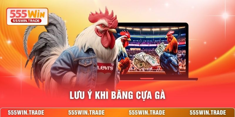 Cách Băng Cựa Gà Đá 555WIN - Kỹ Thuật Bảo Vệ Cho Chiến Kê