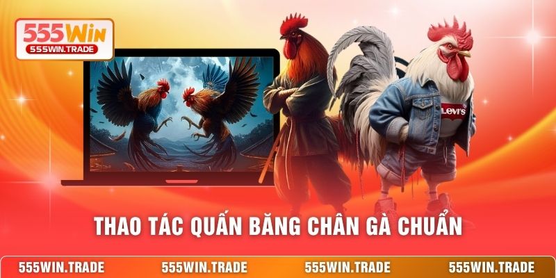 Cách Băng Cựa Gà Đá 555WIN - Kỹ Thuật Bảo Vệ Cho Chiến Kê