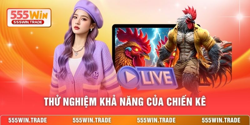 Cách Chọn Gà Chiến 555WIN - Bí Quyết Sở Hữu Linh Kê Bất Bại
