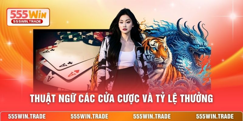 Game Rồng Hổ Online – Tốc Độ & Kịch Tính Trong Từng Ván Bài